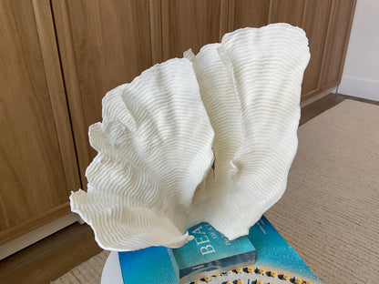 Mounted 12.5" Natural CUP RUGOSA CORAL Fossil Lucite Display Specimen Sculpture Ocean Art Decorative Coastal Beach Home Décor Wedding Gift