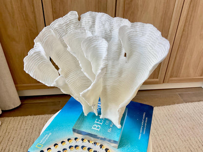 Mounted 11" Natural CUP RUGOSA CORAL Fossil Lucite Display Specimen Sculpture Ocean Art Decorative Coastal Beach Home Décor Wedding Gift