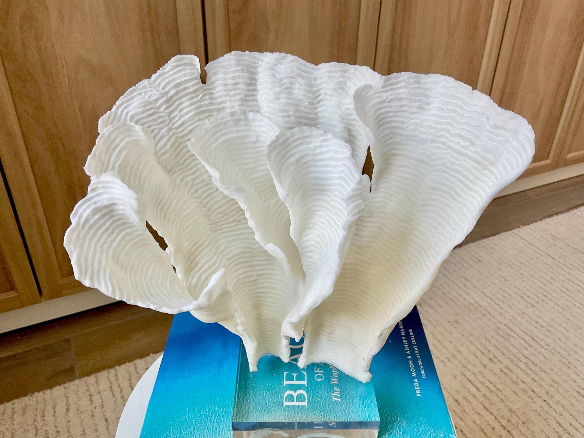 Mounted 11" Natural CUP RUGOSA CORAL Fossil Lucite Display Specimen Sculpture Ocean Art Decorative Coastal Beach Home Décor Wedding Gift