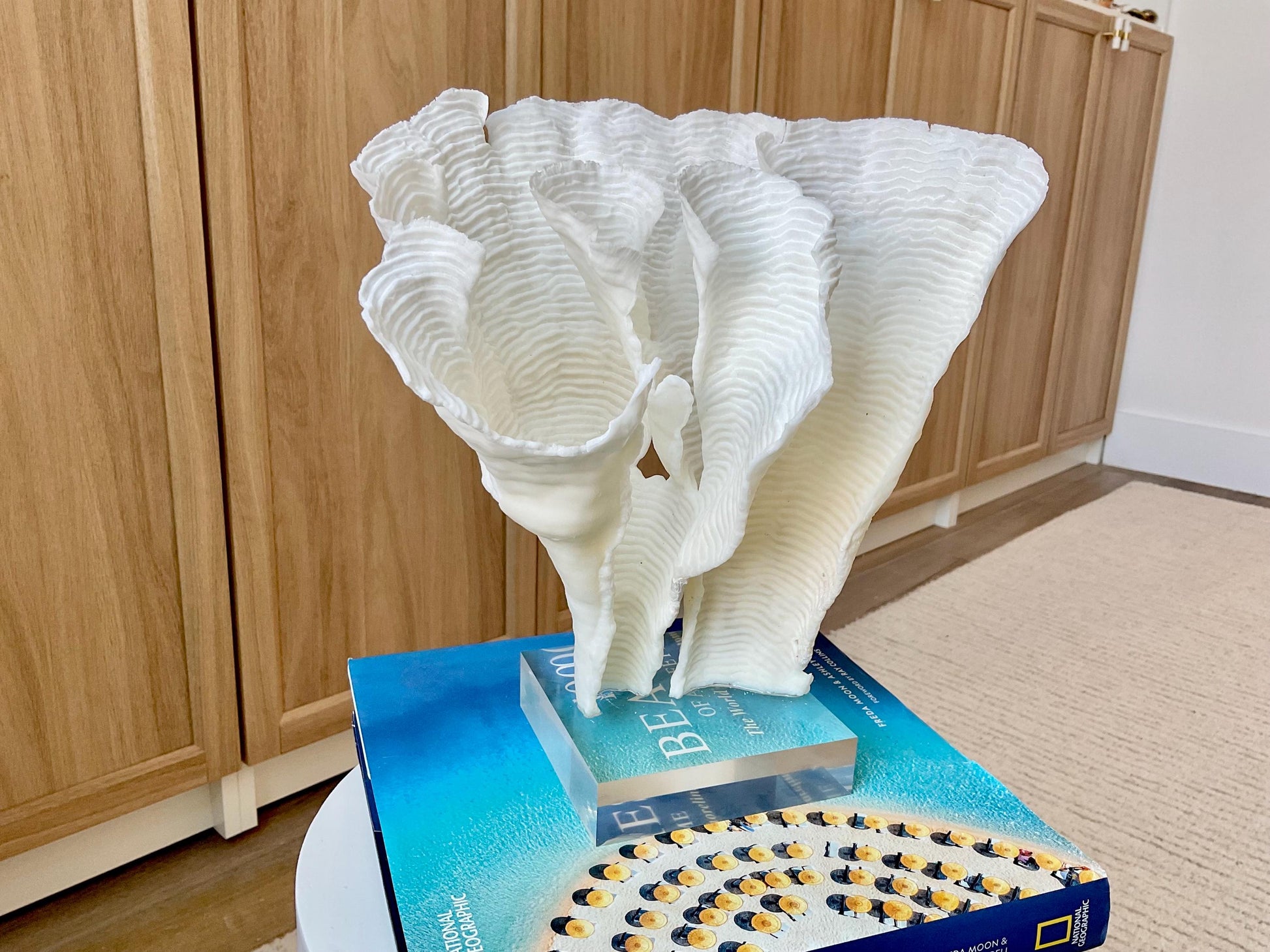 Mounted 11" Natural CUP RUGOSA CORAL Fossil Lucite Display Specimen Sculpture Ocean Art Decorative Coastal Beach Home Décor Wedding Gift