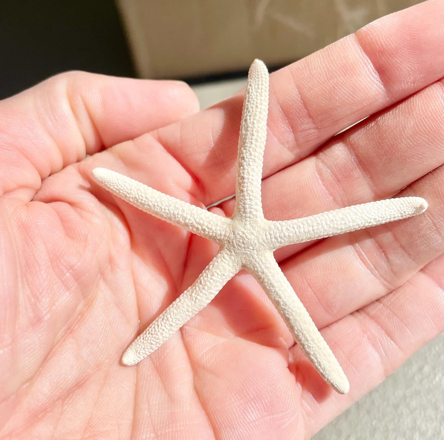 100% Real White Pencil Finger Starfish ALL SIZES Crafts & Coastal Décor Wedding Beach Nautical Sea Stars Natural
