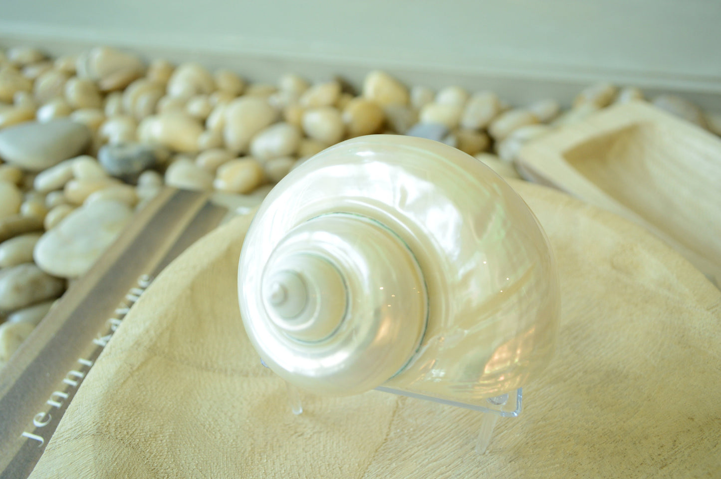 May include: A large, white seashell with a pearlescent finish. The shell is spiraled and has a smooth, glossy surface. The shell is displayed on a wooden surface.
