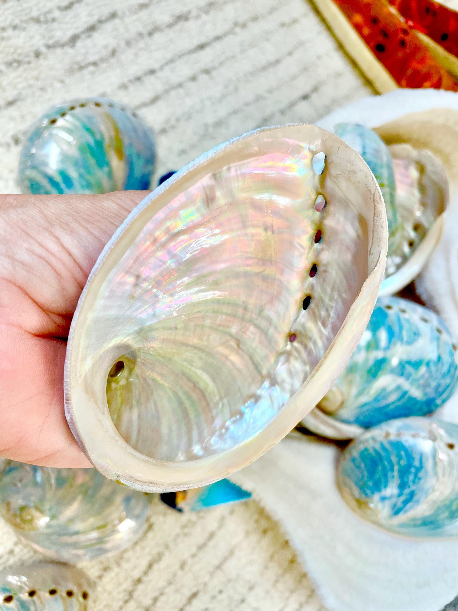 BLUE GREEN BUFFED High Shine Abalone Shells *All Sizes* Natural Iridescent Silver Mermaid Seashell Coastal Décor Gift Sage Dish
