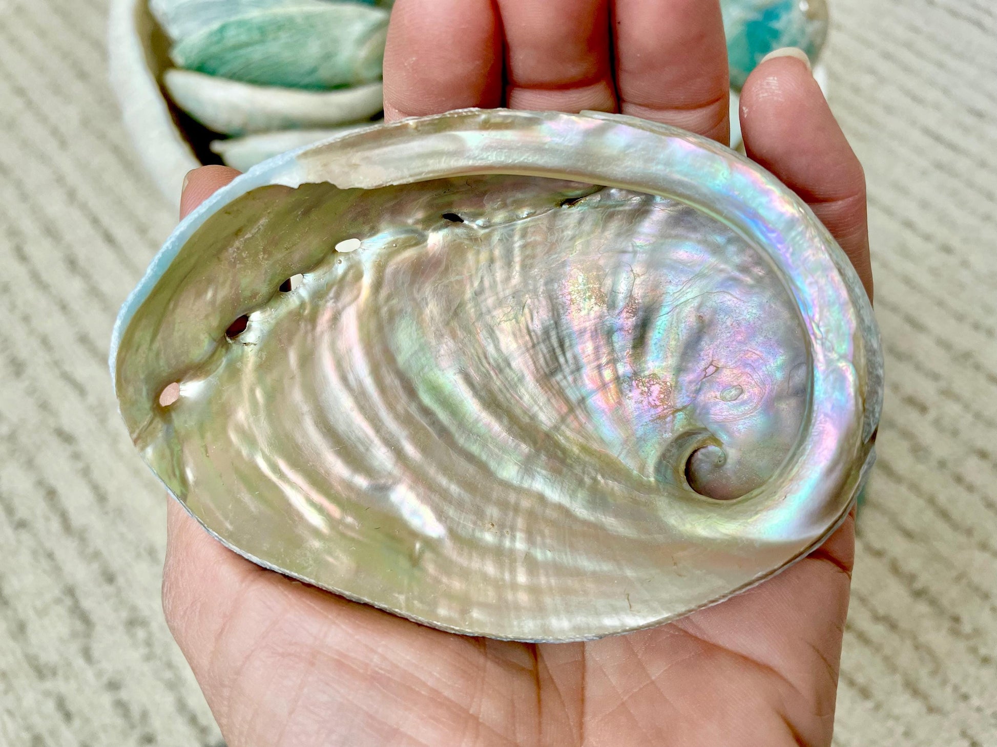 BLUE GREEN POLISHED High Shine Abalone Shells *All Sizes* Natural Iridescent Silver Mermaid Seashell Coastal Décor Gift Sage Dish
