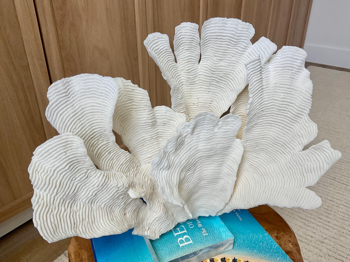 Mounted 12" Natural CUP RUGOSA CORAL Fossil Lucite Display Specimen Sculpture Ocean Art Decorative Coastal Beach Home Décor Wedding Gift