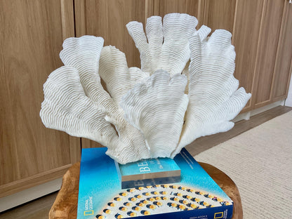 Mounted 12" Natural CUP RUGOSA CORAL Fossil Lucite Display Specimen Sculpture Ocean Art Decorative Coastal Beach Home Décor Wedding Gift