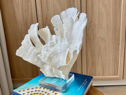 Mounted 12" Natural CUP RUGOSA CORAL Fossil Lucite Display Specimen Sculpture Ocean Art Decorative Coastal Beach Home Décor Wedding Gift