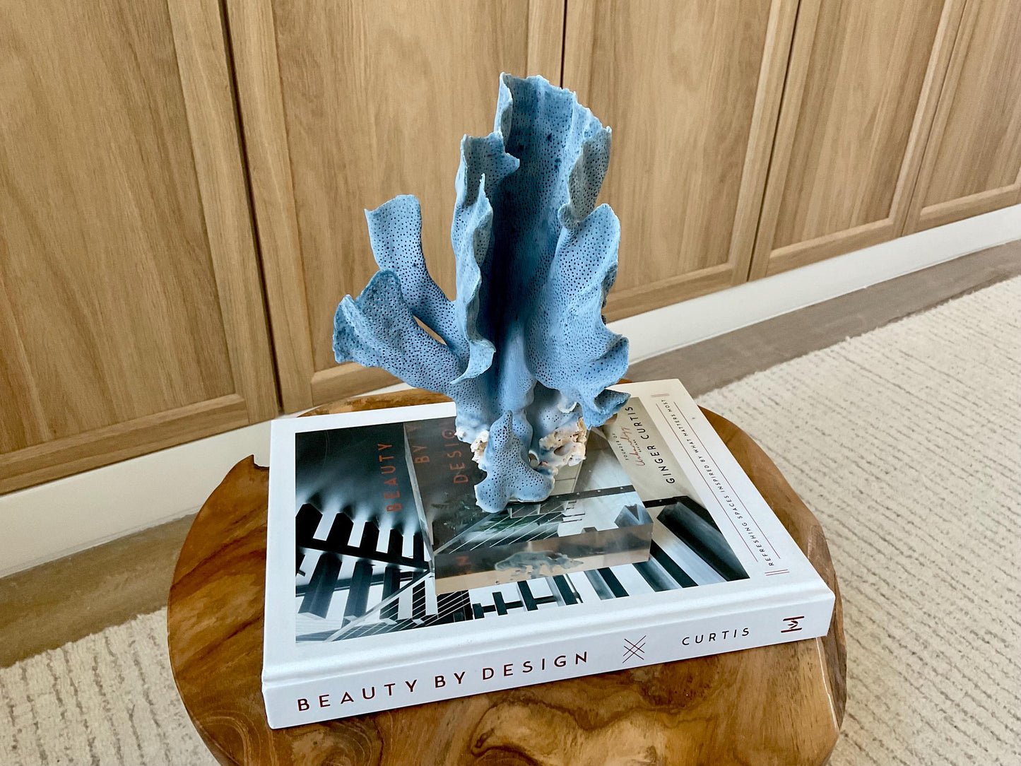 Genuine 100% Natural 8” Tall BLUE RIDGE CORAL Acrylic Mounted Ocean Reef Coastal Beach Décor Nautical Gift Real Ocean Treasure