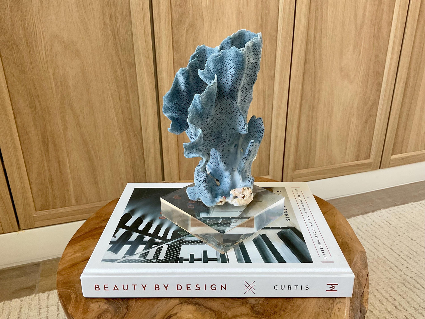 Genuine 100% Natural 8” Tall BLUE RIDGE CORAL Acrylic Mounted Ocean Reef Coastal Beach Décor Nautical Gift Real Ocean Treasure