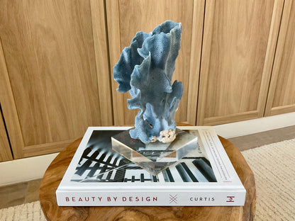 Genuine 100% Natural 8” Tall BLUE RIDGE CORAL Acrylic Mounted Ocean Reef Coastal Beach Décor Nautical Gift Real Ocean Treasure