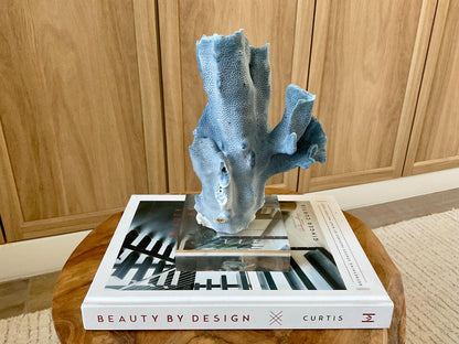Genuine 100% Natural 8” Tall BLUE RIDGE CORAL Acrylic Mounted Ocean Reef Coastal Beach Décor Nautical Gift Real Ocean Treasure