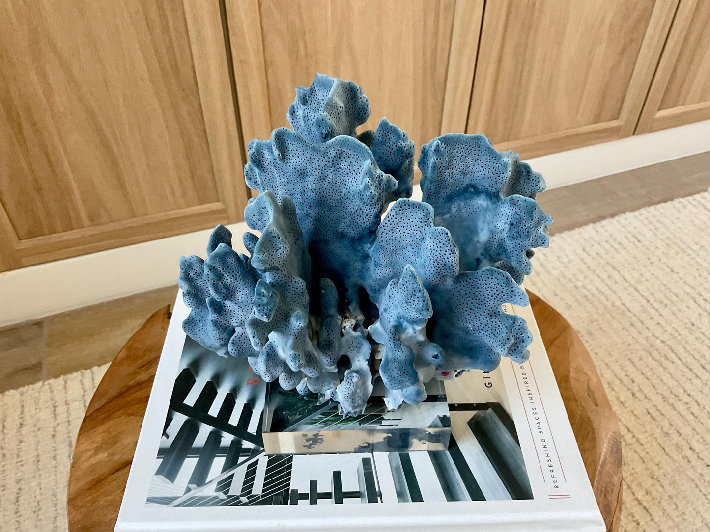 Genuine 100% Natural 8.5” Wide BLUE RIDGE CORAL Acrylic Mounted Ocean Reef Coastal Beach Décor Nautical Gift Real Ocean Treasure