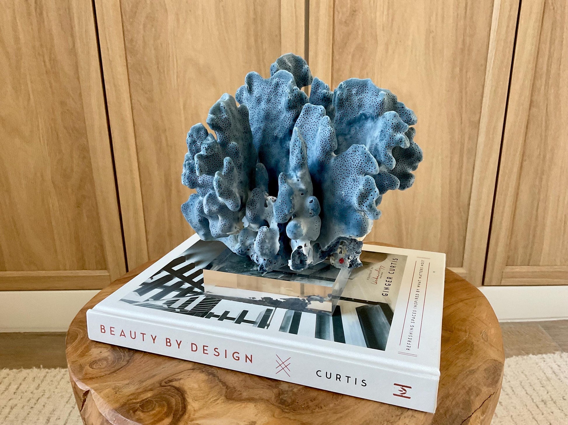 Genuine 100% Natural 8.5” Wide BLUE RIDGE CORAL Acrylic Mounted Ocean Reef Coastal Beach Décor Nautical Gift Real Ocean Treasure