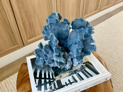 Genuine 100% Natural 8.5” Wide BLUE RIDGE CORAL Acrylic Mounted Ocean Reef Coastal Beach Décor Nautical Gift Real Ocean Treasure