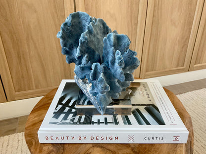 Genuine 100% Natural 8.5” Wide BLUE RIDGE CORAL Acrylic Mounted Ocean Reef Coastal Beach Décor Nautical Gift Real Ocean Treasure