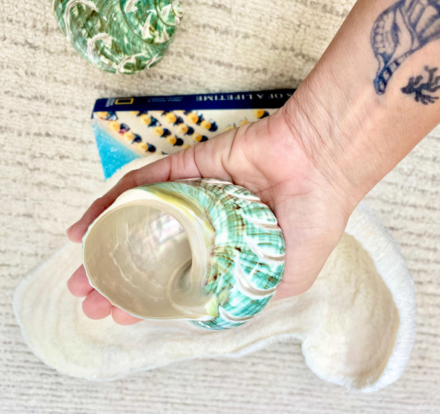 CARVED JADE TURBO Shells 4-4.5 Natural Green Hermit Crab Seashell Coastal Décor