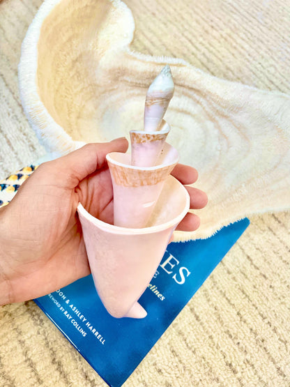 PINK SPIRAL CONCH Shell Center Cut 8-9" Natural Polished Display Seashell Coastal Home Décor