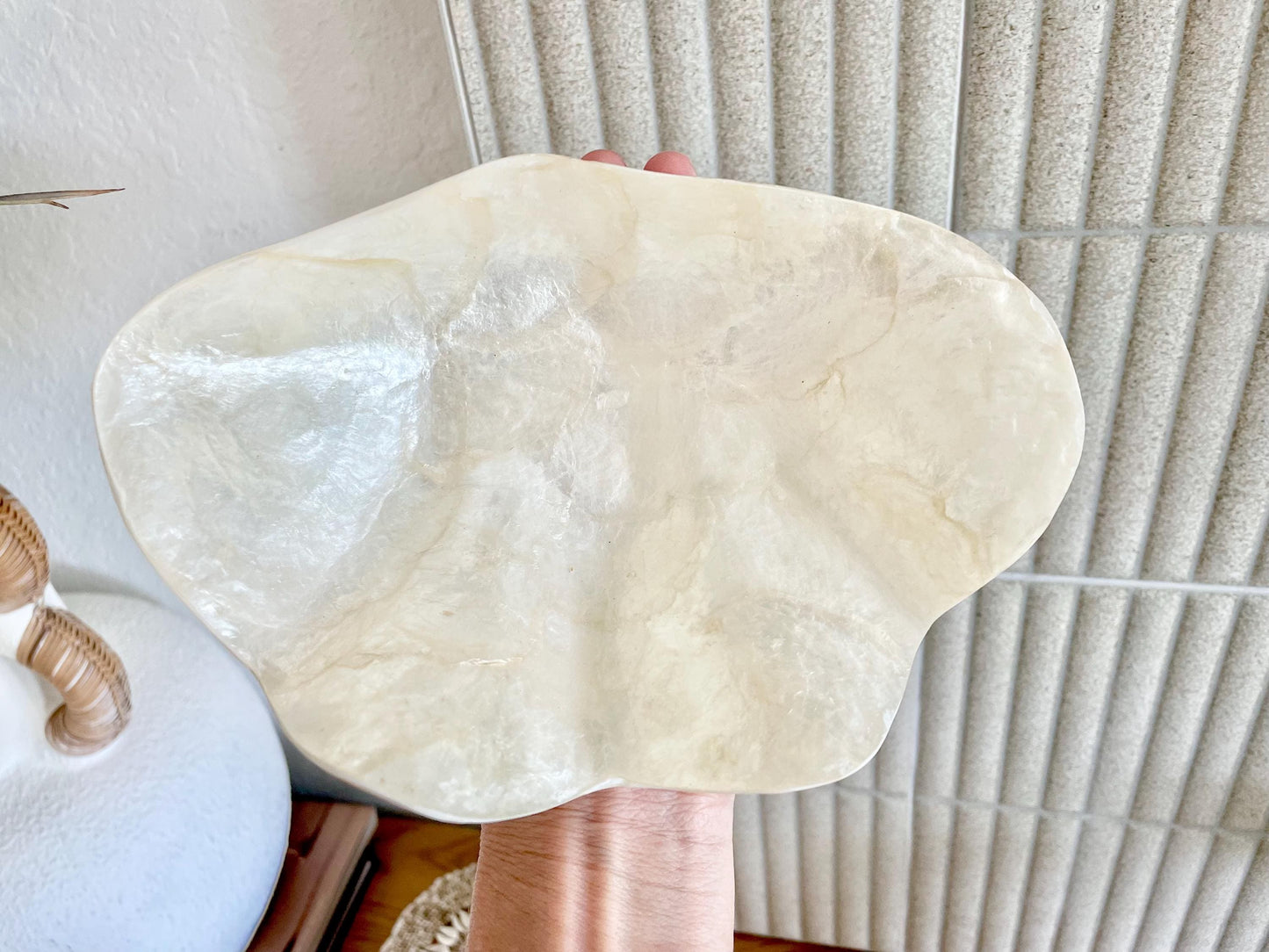 CAPIZ SHELL BOWL 8x5.5x3" Clam Shaped Seashell Natural Cream Ivory Coastal Home Décor