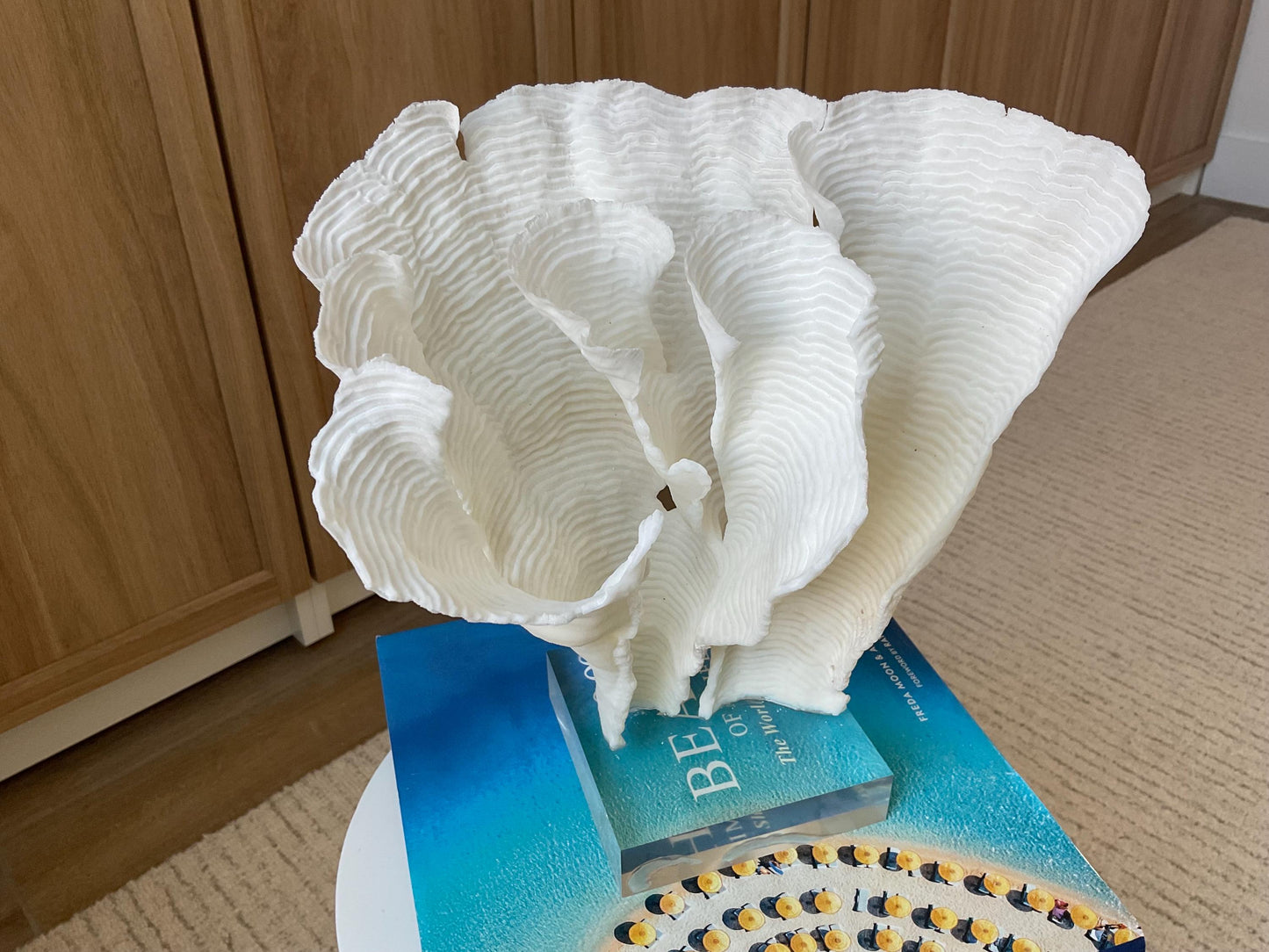 Mounted 11" Natural CUP RUGOSA CORAL Fossil Lucite Display Specimen Sculpture Ocean Art Decorative Coastal Beach Home Décor Wedding Gift