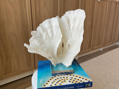 Mounted 12.5" Natural CUP RUGOSA CORAL Fossil Lucite Display Specimen Sculpture Ocean Art Decorative Coastal Beach Home Décor Wedding Gift