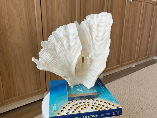 Mounted 12.5" Natural CUP RUGOSA CORAL Fossil Lucite Display Specimen Sculpture Ocean Art Decorative Coastal Beach Home Décor Wedding Gift