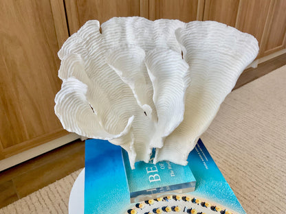 Mounted 11" Natural CUP RUGOSA CORAL Fossil Lucite Display Specimen Sculpture Ocean Art Decorative Coastal Beach Home Décor Wedding Gift