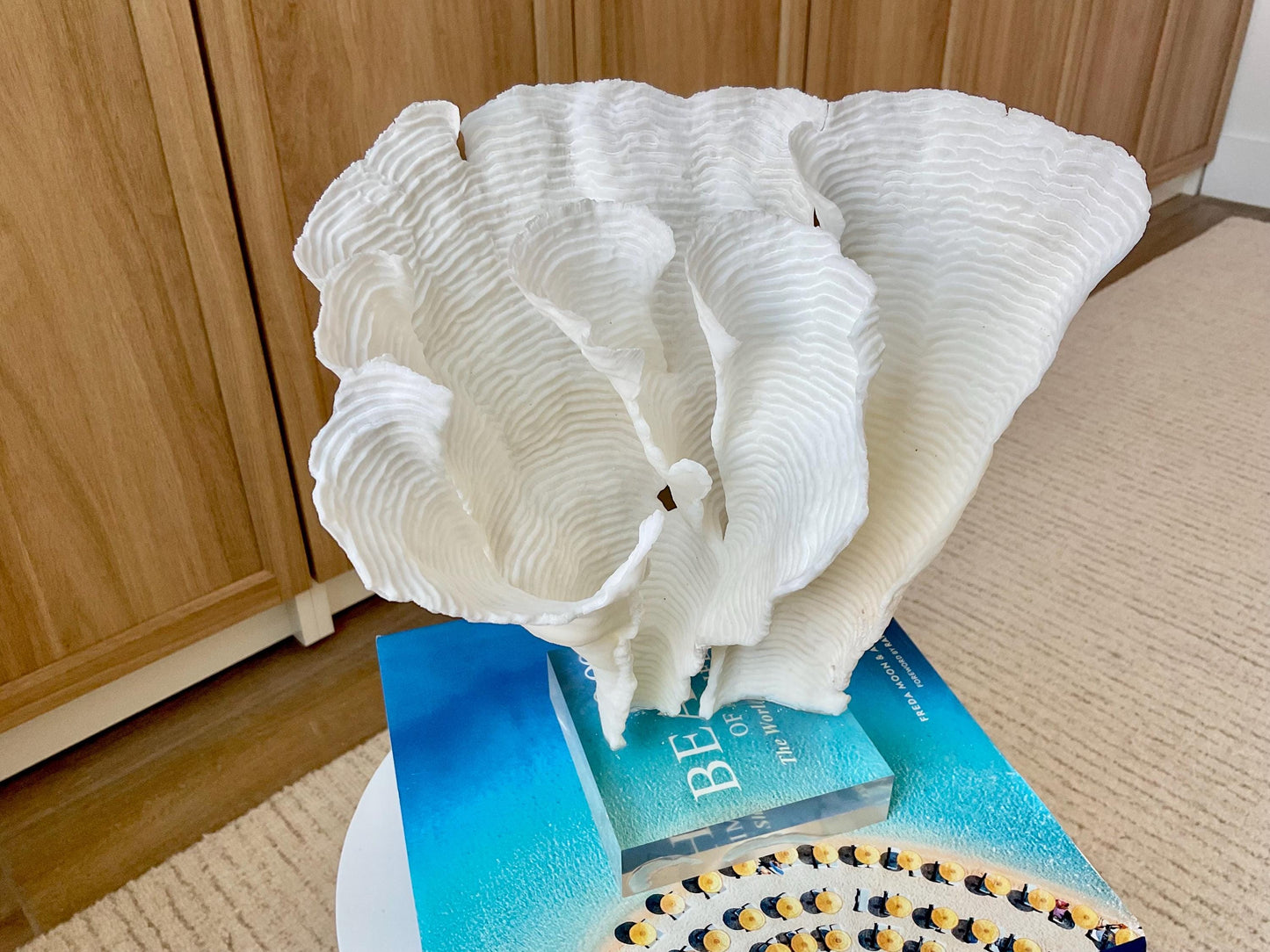 Mounted 11" Natural CUP RUGOSA CORAL Fossil Lucite Display Specimen Sculpture Ocean Art Decorative Coastal Beach Home Décor Wedding Gift