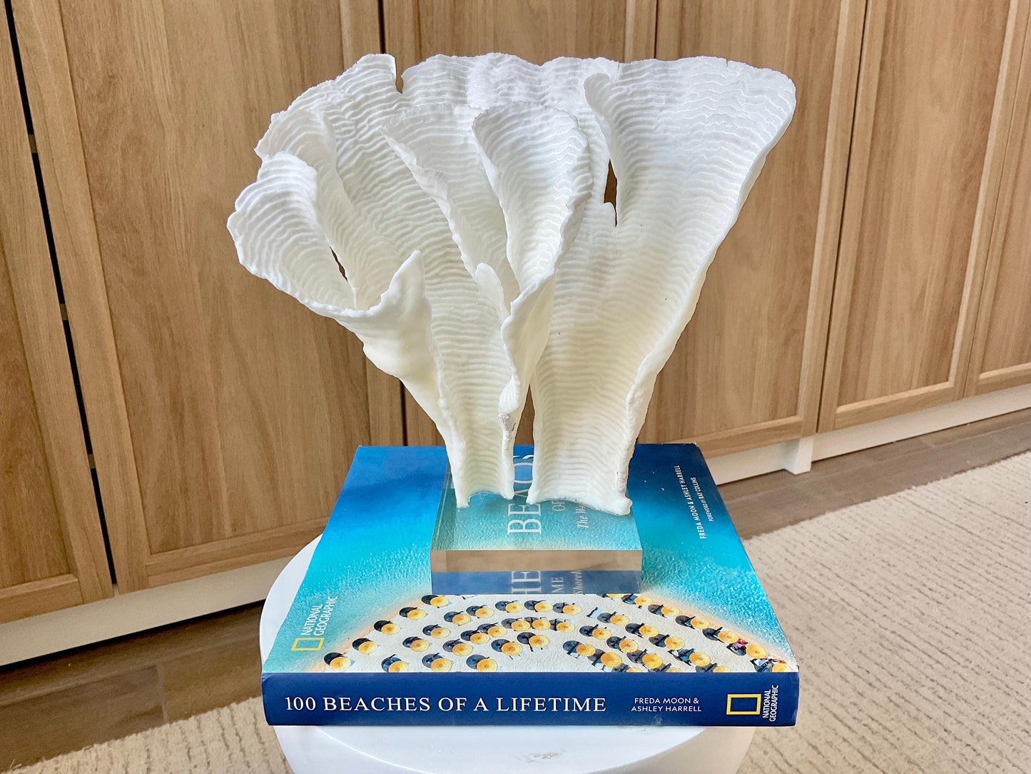 Mounted 11" Natural CUP RUGOSA CORAL Fossil Lucite Display Specimen Sculpture Ocean Art Decorative Coastal Beach Home Décor Wedding Gift