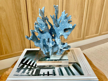 Genuine 100% Natural 8” Tall BLUE RIDGE CORAL Acrylic Mounted Ocean Reef Coastal Beach Décor Nautical Gift Real Ocean Treasure