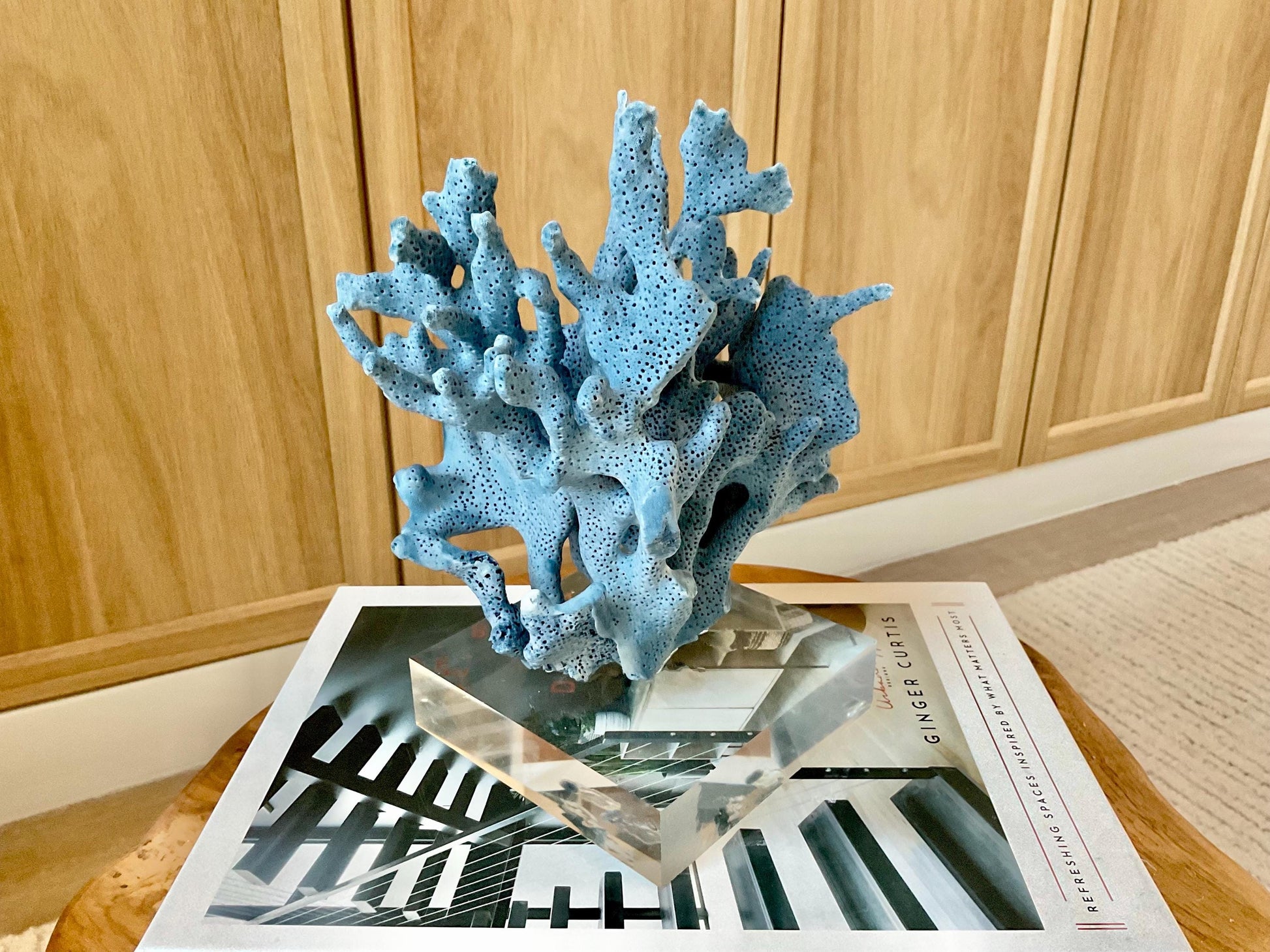 Genuine 100% Natural 8” Tall BLUE RIDGE CORAL Acrylic Mounted Ocean Reef Coastal Beach Décor Nautical Gift Real Ocean Treasure