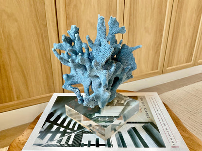 Genuine 100% Natural 8” Tall BLUE RIDGE CORAL Acrylic Mounted Ocean Reef Coastal Beach Décor Nautical Gift Real Ocean Treasure