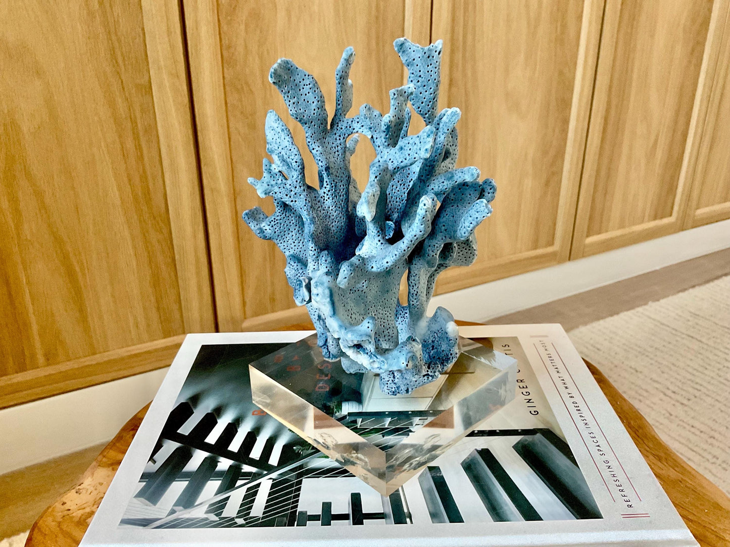 Genuine 100% Natural 8” Tall BLUE RIDGE CORAL Acrylic Mounted Ocean Reef Coastal Beach Décor Nautical Gift Real Ocean Treasure