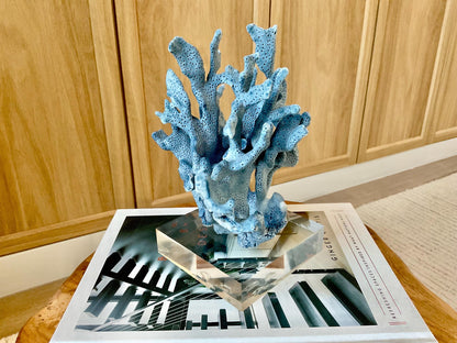 Genuine 100% Natural 8” Tall BLUE RIDGE CORAL Acrylic Mounted Ocean Reef Coastal Beach Décor Nautical Gift Real Ocean Treasure