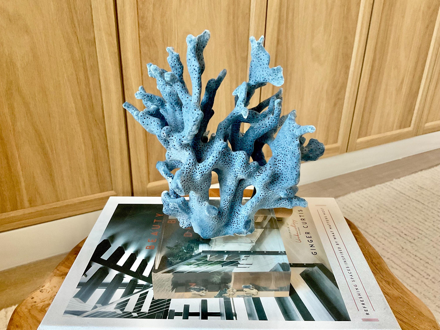 Genuine 100% Natural 8” Tall BLUE RIDGE CORAL Acrylic Mounted Ocean Reef Coastal Beach Décor Nautical Gift Real Ocean Treasure