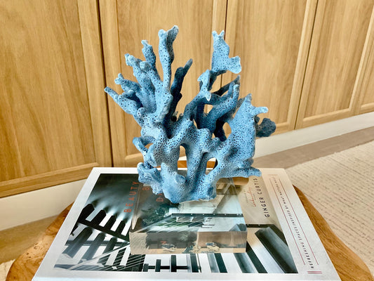 Genuine 100% Natural 8” Tall BLUE RIDGE CORAL Acrylic Mounted Ocean Reef Coastal Beach Décor Nautical Gift Real Ocean Treasure