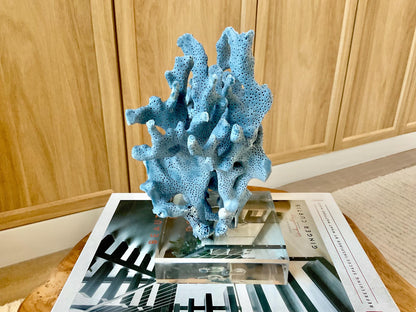 Genuine 100% Natural 8” Tall BLUE RIDGE CORAL Acrylic Mounted Ocean Reef Coastal Beach Décor Nautical Gift Real Ocean Treasure