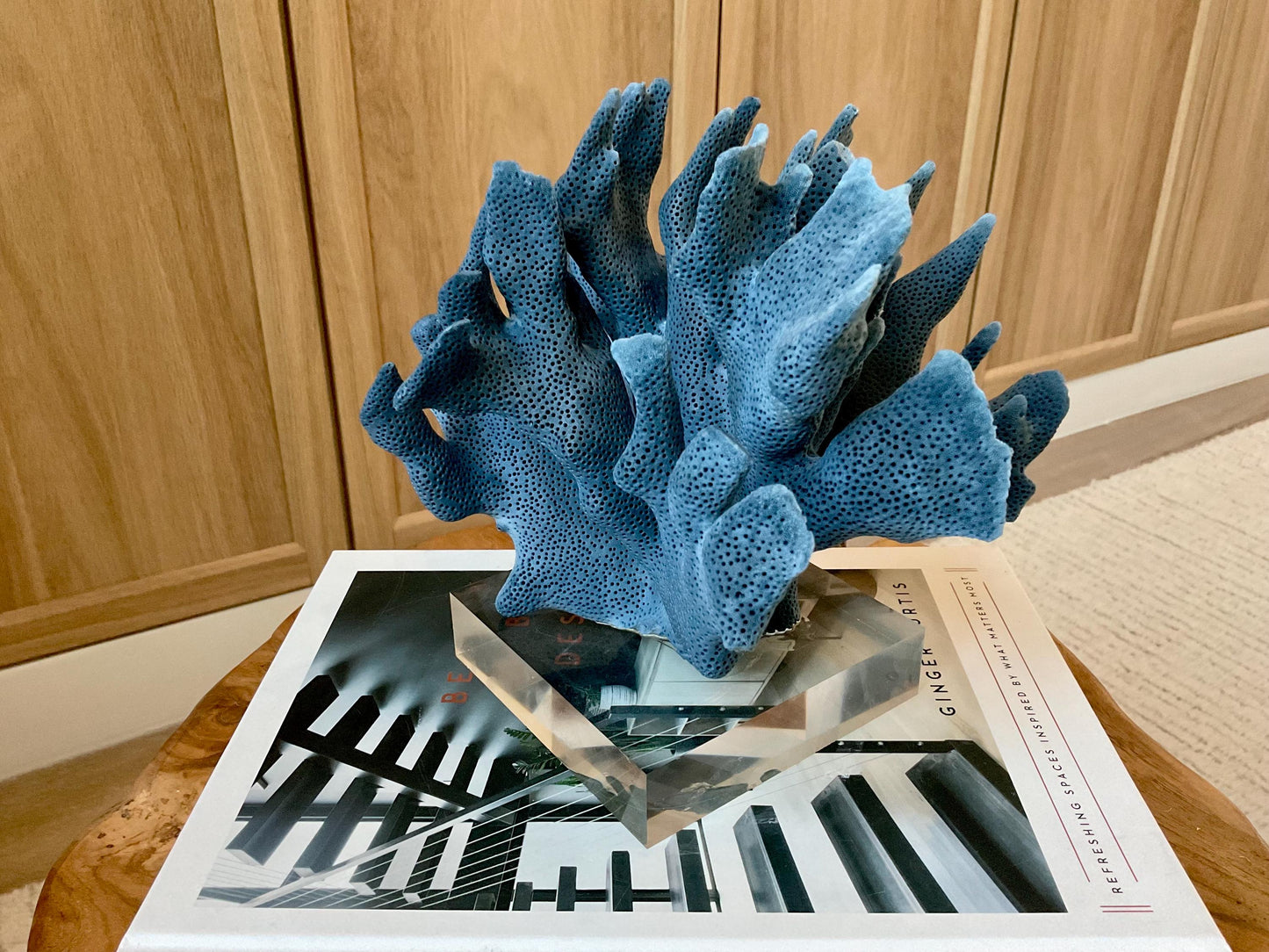 Genuine 100% Natural 8” Wide Dark BLUE RIDGE CORAL Acrylic Mounted Ocean Reef Coastal Beach Décor Nautical Gift Real Ocean Treasure