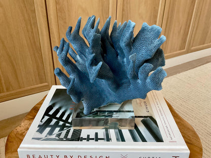Genuine 100% Natural 8” Wide Dark BLUE RIDGE CORAL Acrylic Mounted Ocean Reef Coastal Beach Décor Nautical Gift Real Ocean Treasure