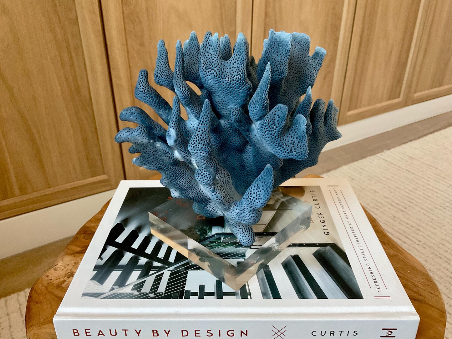 Genuine 100% Natural 8” Wide Dark BLUE RIDGE CORAL Acrylic Mounted Ocean Reef Coastal Beach Décor Nautical Gift Real Ocean Treasure