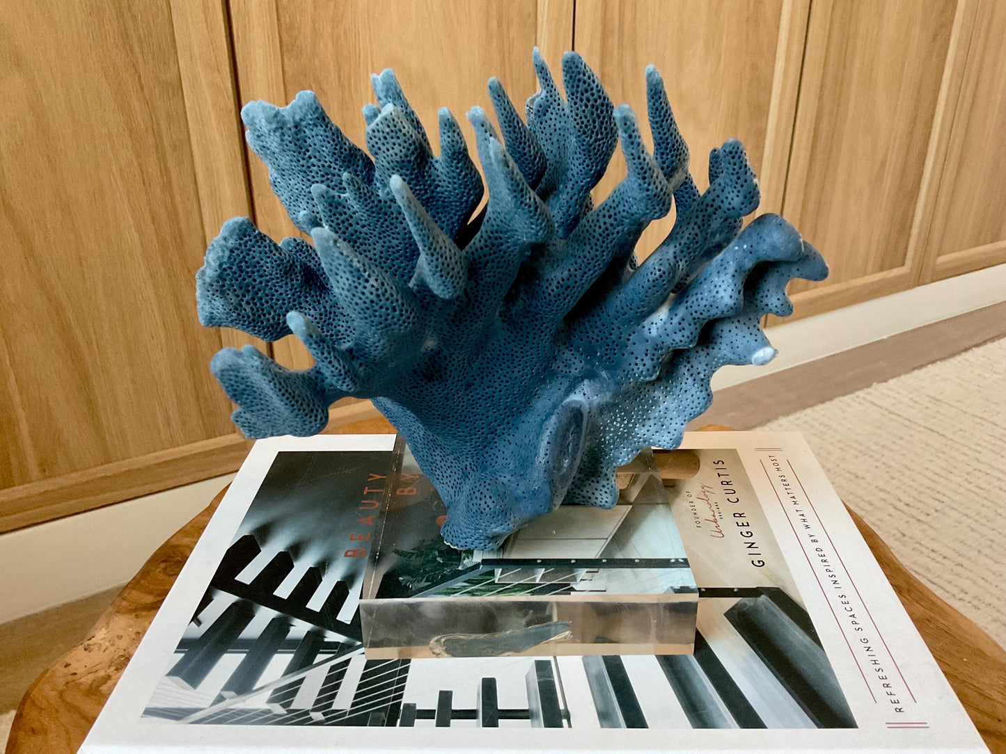 Genuine 100% Natural 8” Wide Dark BLUE RIDGE CORAL Acrylic Mounted Ocean Reef Coastal Beach Décor Nautical Gift Real Ocean Treasure