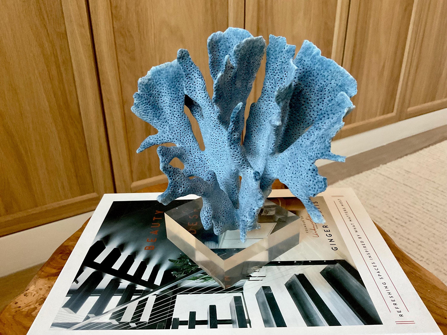 Genuine 100% Natural 7” Tall BLUE RIDGE CORAL Acrylic Mounted Ocean Reef Coastal Beach Décor Nautical Gift Real Ocean Treasure