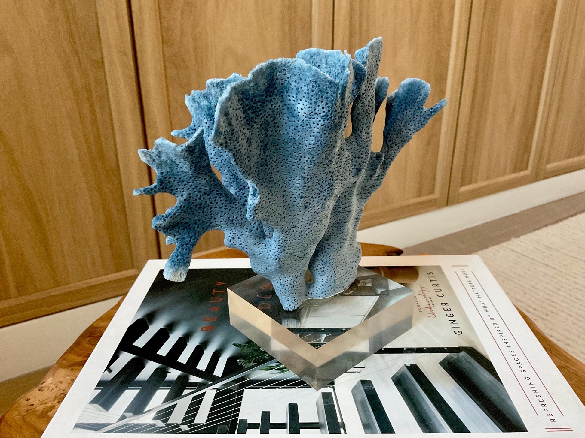 Genuine 100% Natural 7” Tall BLUE RIDGE CORAL Acrylic Mounted Ocean Reef Coastal Beach Décor Nautical Gift Real Ocean Treasure