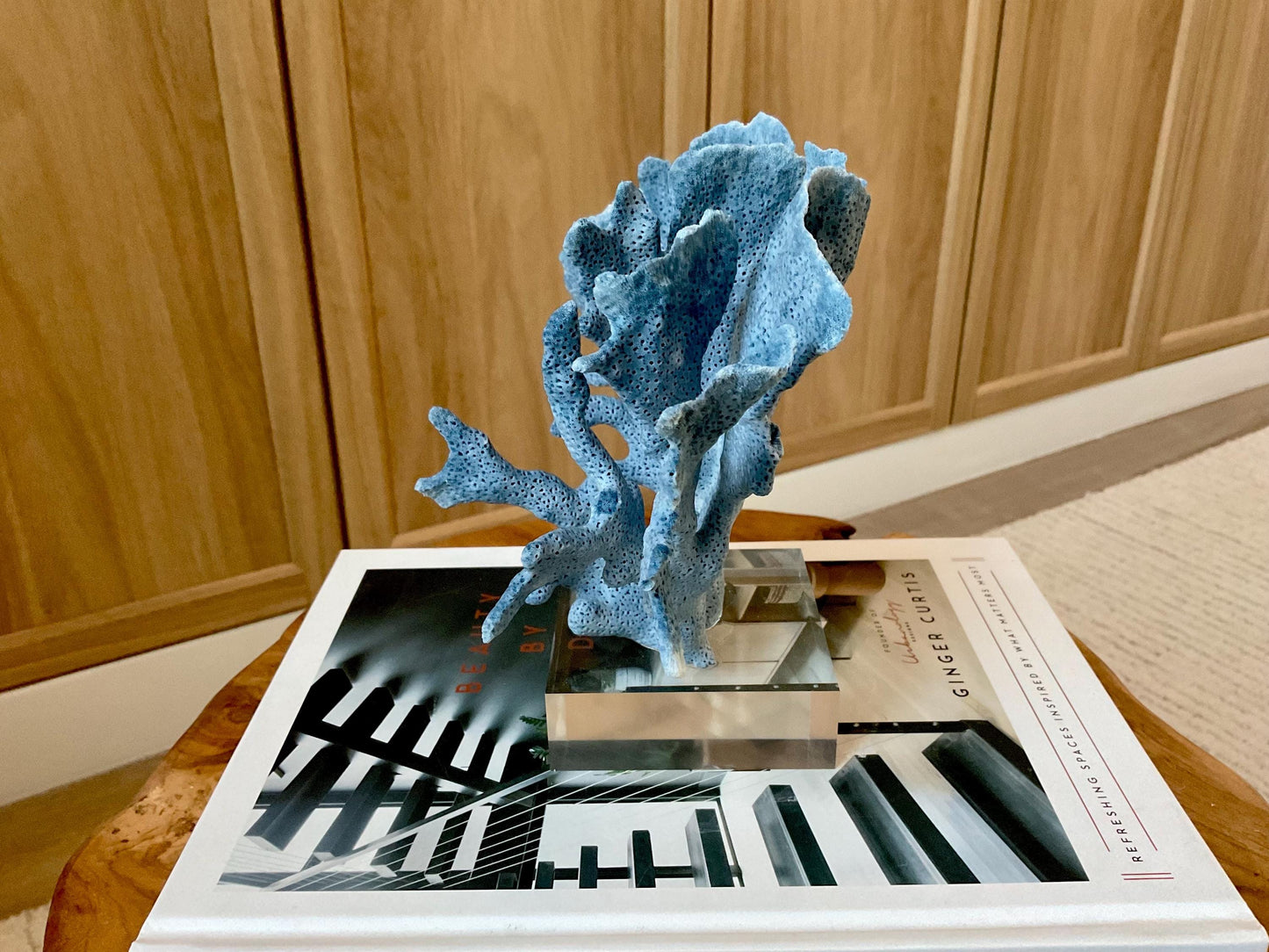 Genuine 100% Natural 7” Tall BLUE RIDGE CORAL Acrylic Mounted Ocean Reef Coastal Beach Décor Nautical Gift Real Ocean Treasure