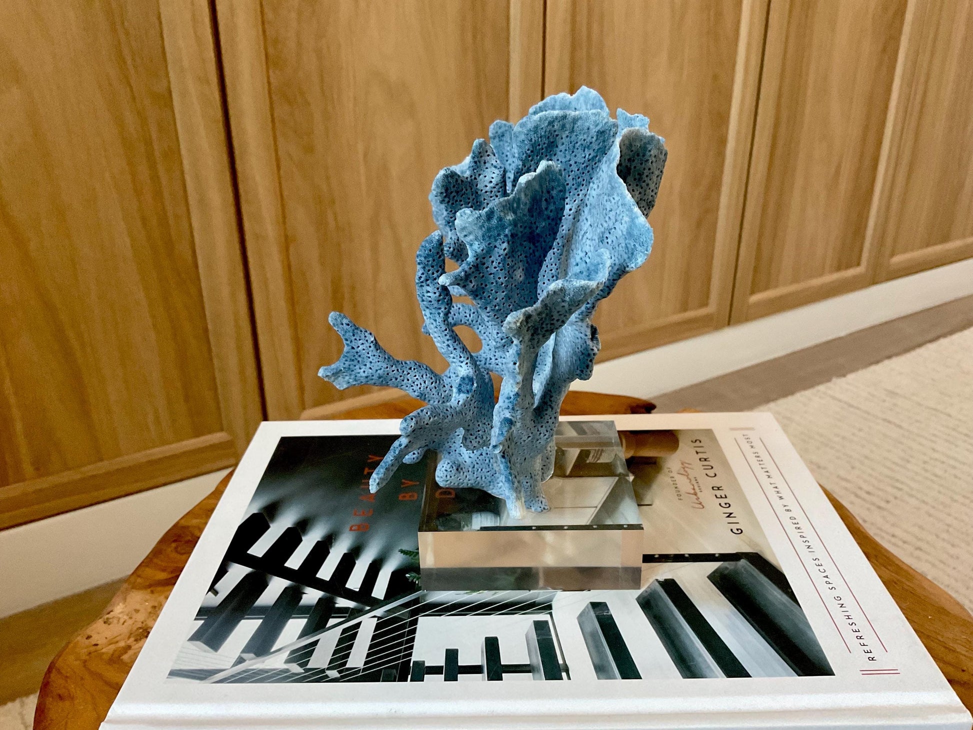 Genuine 100% Natural 7” Tall BLUE RIDGE CORAL Acrylic Mounted Ocean Reef Coastal Beach Décor Nautical Gift Real Ocean Treasure