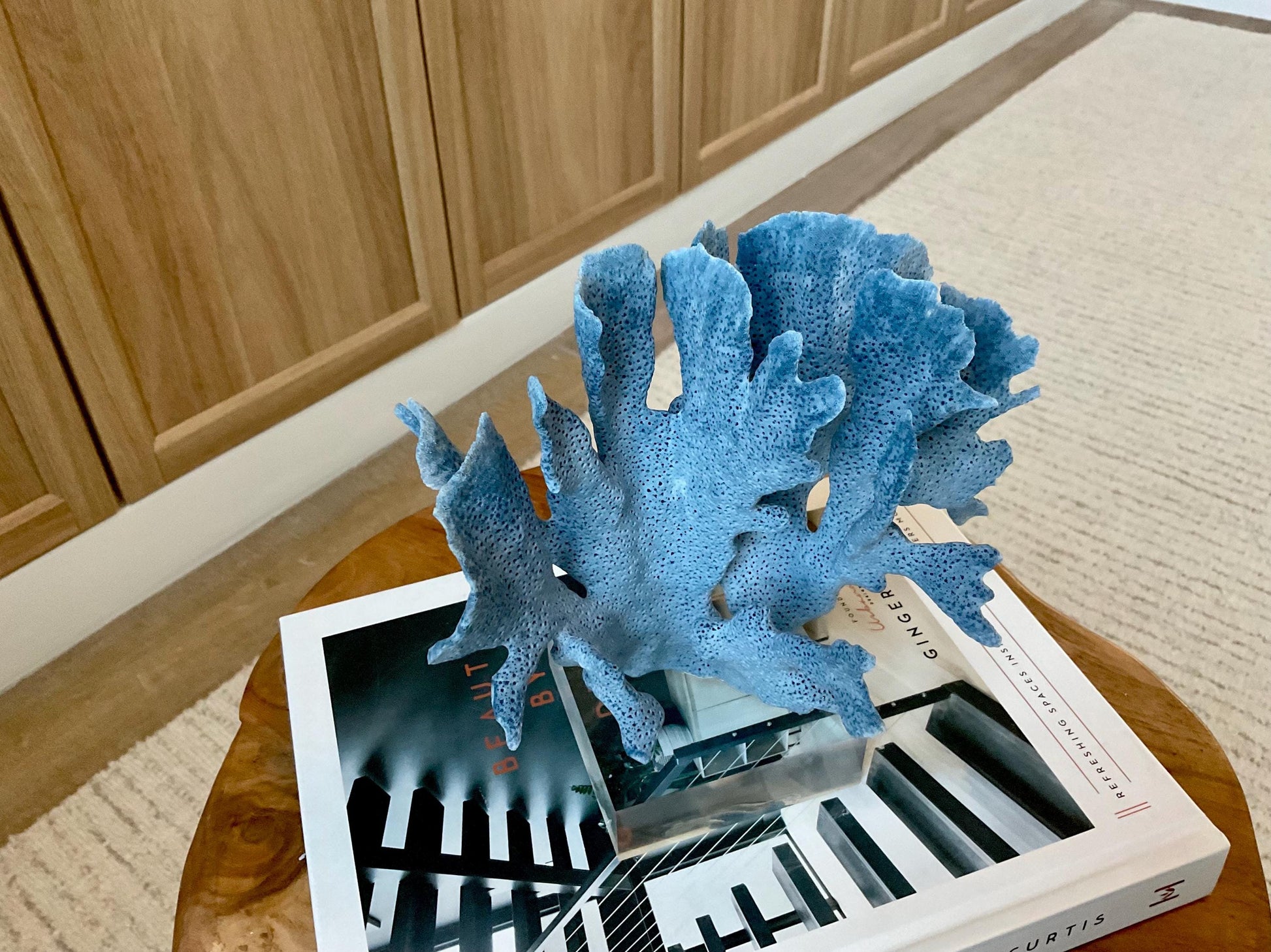 Genuine 100% Natural 7” Tall BLUE RIDGE CORAL Acrylic Mounted Ocean Reef Coastal Beach Décor Nautical Gift Real Ocean Treasure