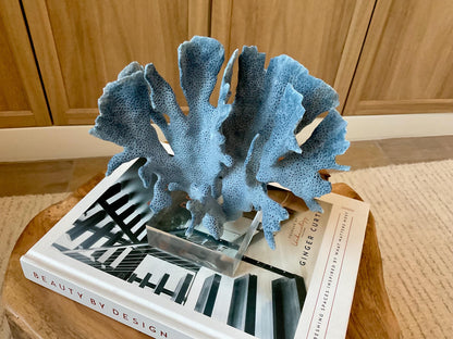 Genuine 100% Natural 7” Tall BLUE RIDGE CORAL Acrylic Mounted Ocean Reef Coastal Beach Décor Nautical Gift Real Ocean Treasure