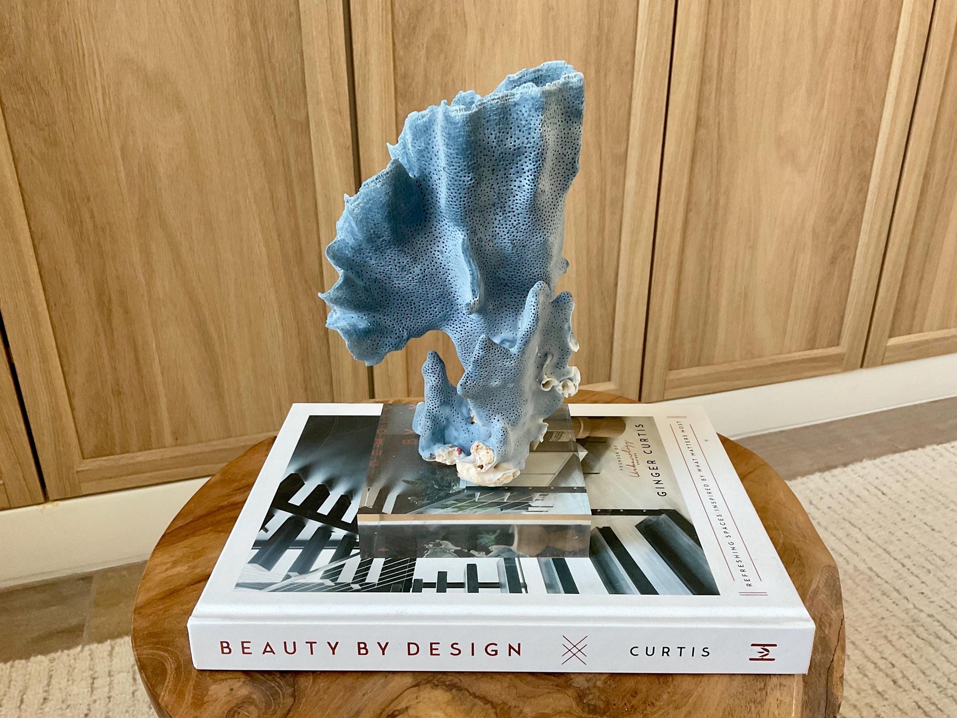 Genuine 100% Natural 8” Tall BLUE RIDGE CORAL Acrylic Mounted Ocean Reef Coastal Beach Décor Nautical Gift Real Ocean Treasure