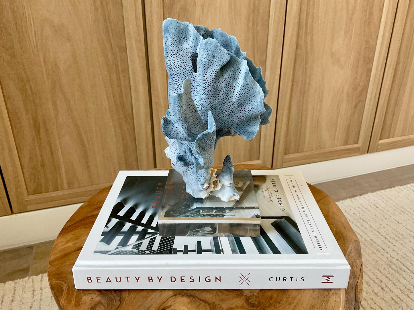 Genuine 100% Natural 8” Tall BLUE RIDGE CORAL Acrylic Mounted Ocean Reef Coastal Beach Décor Nautical Gift Real Ocean Treasure