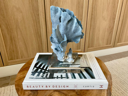 Genuine 100% Natural 8” Tall BLUE RIDGE CORAL Acrylic Mounted Ocean Reef Coastal Beach Décor Nautical Gift Real Ocean Treasure