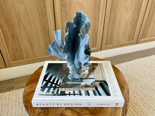 Genuine 100% Natural 8” Tall BLUE RIDGE CORAL Acrylic Mounted Ocean Reef Coastal Beach Décor Nautical Gift Real Ocean Treasure